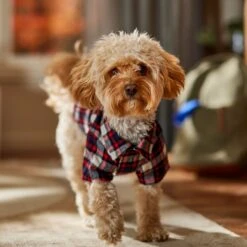 Frisco Red & Blue Plaid Dog & Cat Flannel Shirt -Pet Cat Shop 720838 PT7. AC SS1800 V1693400998