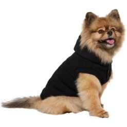 Frisco Quilted Fleece Dog & Cat Pullover Hoodie -Pet Cat Shop 721030 PT2. AC SS1800 V1703194381