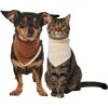 Frisco Reversible Cozy Knit Faux Fur Dog & Cat Pullover Bandana