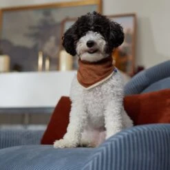 Frisco Reversible Cozy Knit Faux Fur Dog & Cat Pullover Bandana -Pet Cat Shop 733918 PT6. AC SS1800 V1692378160