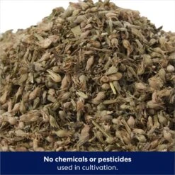 Frisco Natural Catnip & Hartz Cattraction Silver Vine & Catnip Gator Cat Scratcher Toy, Color Varies -Pet Cat Shop 737470 PT3. AC SS1800 V1683212146