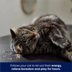 Frisco Natural Catnip & Hartz Cattraction Silver Vine & Catnip Gator Cat Scratcher Toy, Color Varies -Pet Cat Shop 737470 PT4. AC SS1800 V1683212147