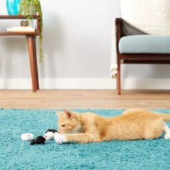 Frisco Natural Catnip & Hartz Just For Cats Mini Mice Cat Toy With Catnip, 5 Count -Pet Cat Shop 737478 PT8. AC SS1800 V1683212080
