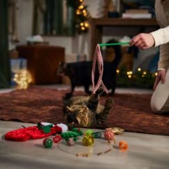 Frisco Holiday Cozy Christmas Sack Variety Pack Cat Toy With Catnip 8 Frisco Holiday Cozy Christmas Sack Variety Pack Cat Toy With Catnip -Pet Cat Shop 740054 PT3. AC SS1800 V1694812461