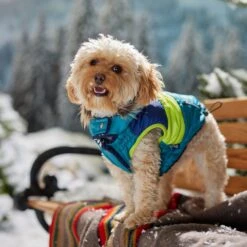 Frisco Heavy Weight Urban City Colorblock Dog & Cat Parka With Sherpa Lining 14 Frisco Heavy Weight Urban City Colorblock Dog & Cat Parka With Sherpa Lining -Pet Cat Shop 742262 PT7. AC SS1800 V1692378161