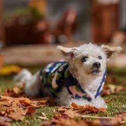 Frisco Medium Weight Urban City Camo Printed Dog & Cat Hooded Coat 16 Frisco Medium Weight Urban City Camo Printed Dog & Cat Hooded Coat -Pet Cat Shop 742358 PT7. AC SS1800 V1692376368