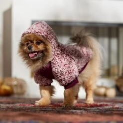 Frisco Textured Wubby 2-Tone Fleece Dog & Cat Hoodie 16 Frisco Textured Wubby 2-Tone Fleece Dog & Cat Hoodie -Pet Cat Shop 742406 PT7. AC SS1800 V1692378336