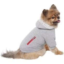 Frisco Sweatshirt Fleece Dog & Cat Hoodie With Sherpa Lining 11 Frisco Sweatshirt Fleece Dog & Cat Hoodie With Sherpa Lining -Pet Cat Shop 742550 PT2. AC SS1800 V1703194378
