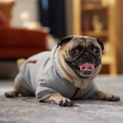 Frisco Sweatshirt Fleece Dog & Cat Hoodie With Sherpa Lining 16 Frisco Sweatshirt Fleece Dog & Cat Hoodie With Sherpa Lining -Pet Cat Shop 742550 PT7. AC SS1800 V1692378690