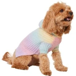 Frisco Soft Multi Stripe Ombre Dog & Cat Hooded Sweater -Pet Cat Shop 742838 PT2. AC SS1800 V1703194379