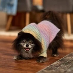 Frisco Soft Multi Stripe Ombre Dog & Cat Hooded Sweater -Pet Cat Shop 742838 PT7. AC SS1800 V1692376365