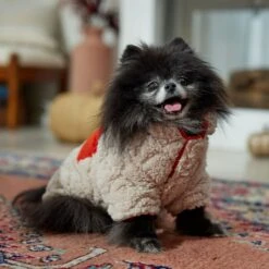 Frisco Medium Weight Quilted Sherpa Dog & Cat Zipper Coat 14 Frisco Medium Weight Quilted Sherpa Dog & Cat Zipper Coat -Pet Cat Shop 744166 PT7. AC SS1800 V1692377763