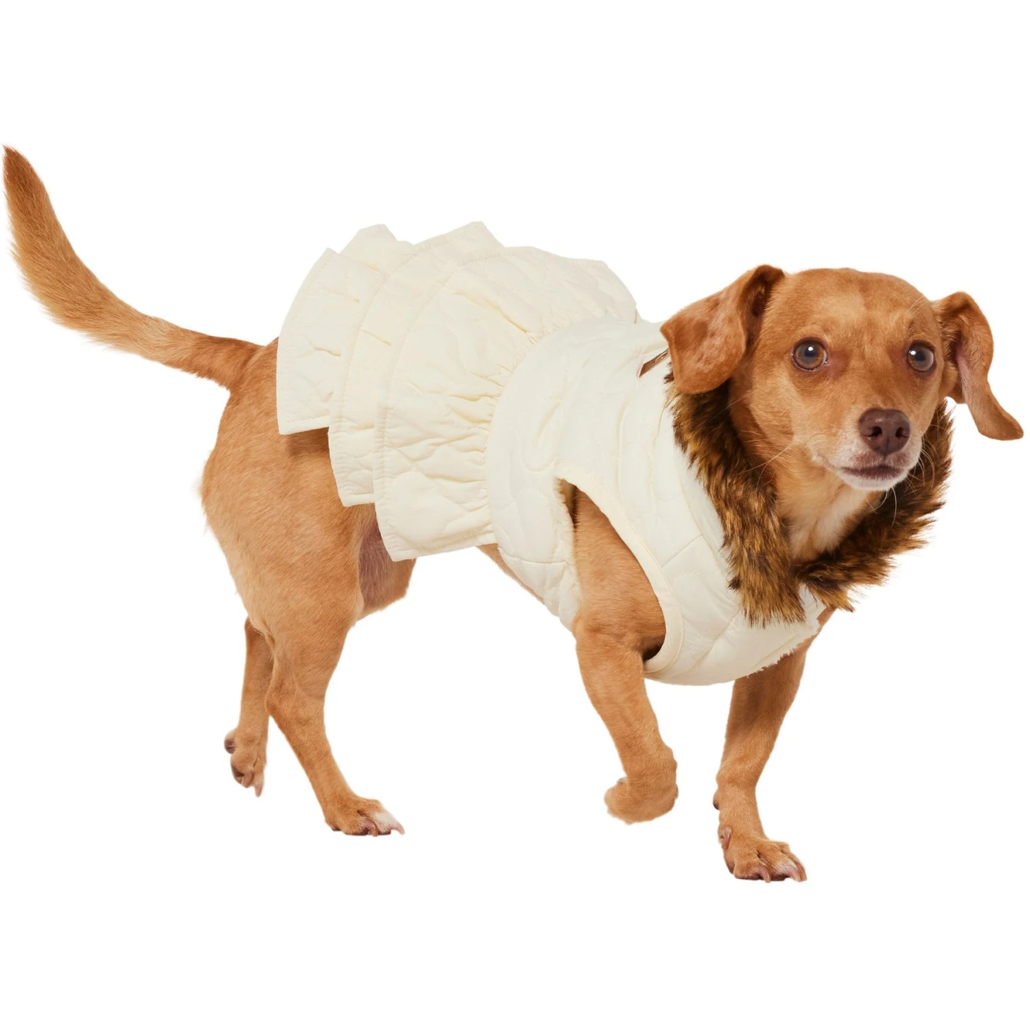 Frisco Medium Weight Quilted Ruffle Tiered Dog & Cat Dress 3 Frisco Medium Weight Quilted Ruffle Tiered Dog & Cat Dress - Image 3