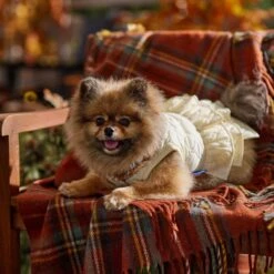 Frisco Medium Weight Quilted Ruffle Tiered Dog & Cat Dress 16 Frisco Medium Weight Quilted Ruffle Tiered Dog & Cat Dress -Pet Cat Shop 744262 PT7. AC SS1800 V1693401666