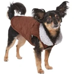 Frisco Medium Weight Quilted Dog & Cat Coat With Cozy Sherpa Lining -Pet Cat Shop 744310 PT2. AC SS1800 V1703194386