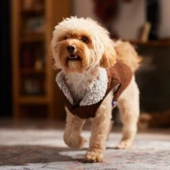 Frisco Medium Weight Quilted Dog & Cat Coat With Cozy Sherpa Lining -Pet Cat Shop 744310 PT7. AC SS1800 V1692375981