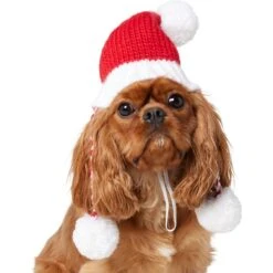 Frisco Chunky Knit Santa Dog & Cat Hat -Pet Cat Shop 744878 PT2. AC SS1800 V1694812755