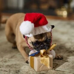 Frisco Chunky Knit Santa Dog & Cat Hat -Pet Cat Shop 744878 PT5. AC SS1800 V1694793814