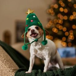 Frisco Christmas Tree Faux Fur Dog & Cat Hat 12 Frisco Christmas Tree Faux Fur Dog & Cat Hat -Pet Cat Shop 745582 PT5. AC SS1800 V1694793444