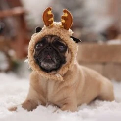 Frisco Sherpa Reindeer Dog & Cat Hat With Bells 12 Frisco Sherpa Reindeer Dog & Cat Hat With Bells -Pet Cat Shop 745646 PT5. AC SS1800 V1694795597