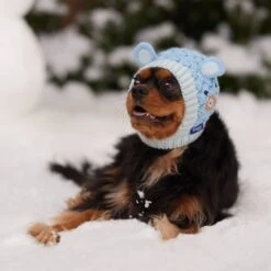 Frisco Nordic Ears Sweater Knit Dog & Cat Hat -Pet Cat Shop 745710 PT5. AC SS1800 V1695671059