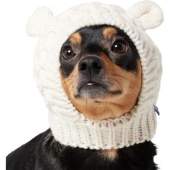 Frisco Polar Bear Sweater Knit Dog & Cat Hat -Pet Cat Shop 745742 PT2. AC SS1800 V1694793756