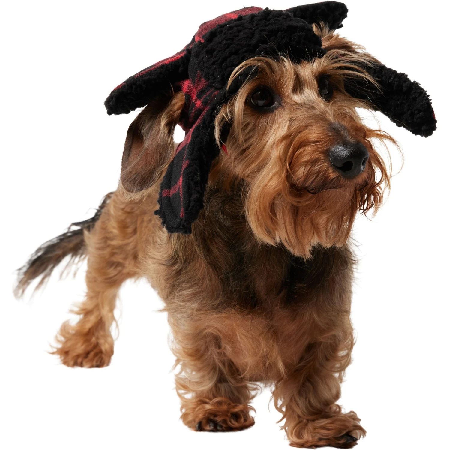 Frisco Tartan Plaid Dog & Cat Trapper Hat 3 Frisco Tartan Plaid Dog & Cat Trapper Hat - Image 3