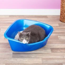 Frisco Collapsible Wire Cat Cage Playpen & Van Ness High Side Corner Cat Litter Pan, Blue -Pet Cat Shop 933382 PT8. AC SS1800 V1692305264