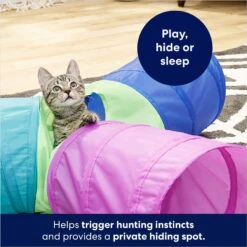 Frisco Foldable Play Tri-Tunnel Cat Toy & Frisco Butterfly Cat Tracks Cat Toy -Pet Cat Shop 933438 PT4. AC SS1800 V1692305507
