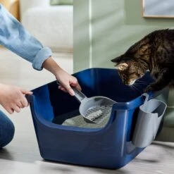 Frisco Open Top Cat Litter Box With Rim, Large & Frisco Plastic Litter Scooper With Caddy -Pet Cat Shop 947526 PT5. AC SS1800 V1693924259