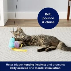 Frisco Squirrel Plush Cat Toy With Refillable Catnip & Frisco Bird With Feathers Teaser Wand Cat Toy With Catnip 17 Frisco Squirrel Plush Cat Toy With Refillable Catnip & Frisco Bird With Feathers Teaser Wand Cat Toy With Catnip -Pet Cat Shop 962030 PT8. AC SS1800 V1694783953