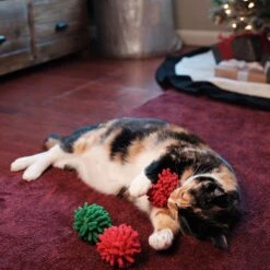 Frisco Holiday Moppy Ball Cat Toy With Catnip, 3 Count & Frisco Holiday Mice Cat Toy With Catnip, 5 Count 13 Frisco Holiday Moppy Ball Cat Toy With Catnip, 3 Count & Frisco Holiday Mice Cat Toy With Catnip, 5 Count -Pet Cat Shop 986150 PT4. AC SS1800 V1698258174