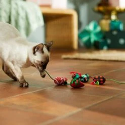 Frisco Holiday Moppy Ball Cat Toy With Catnip, 3 Count & Frisco Holiday Mice Cat Toy With Catnip, 5 Count 16 Frisco Holiday Moppy Ball Cat Toy With Catnip, 3 Count & Frisco Holiday Mice Cat Toy With Catnip, 5 Count -Pet Cat Shop 986150 PT7. AC SS1800 V1698258116