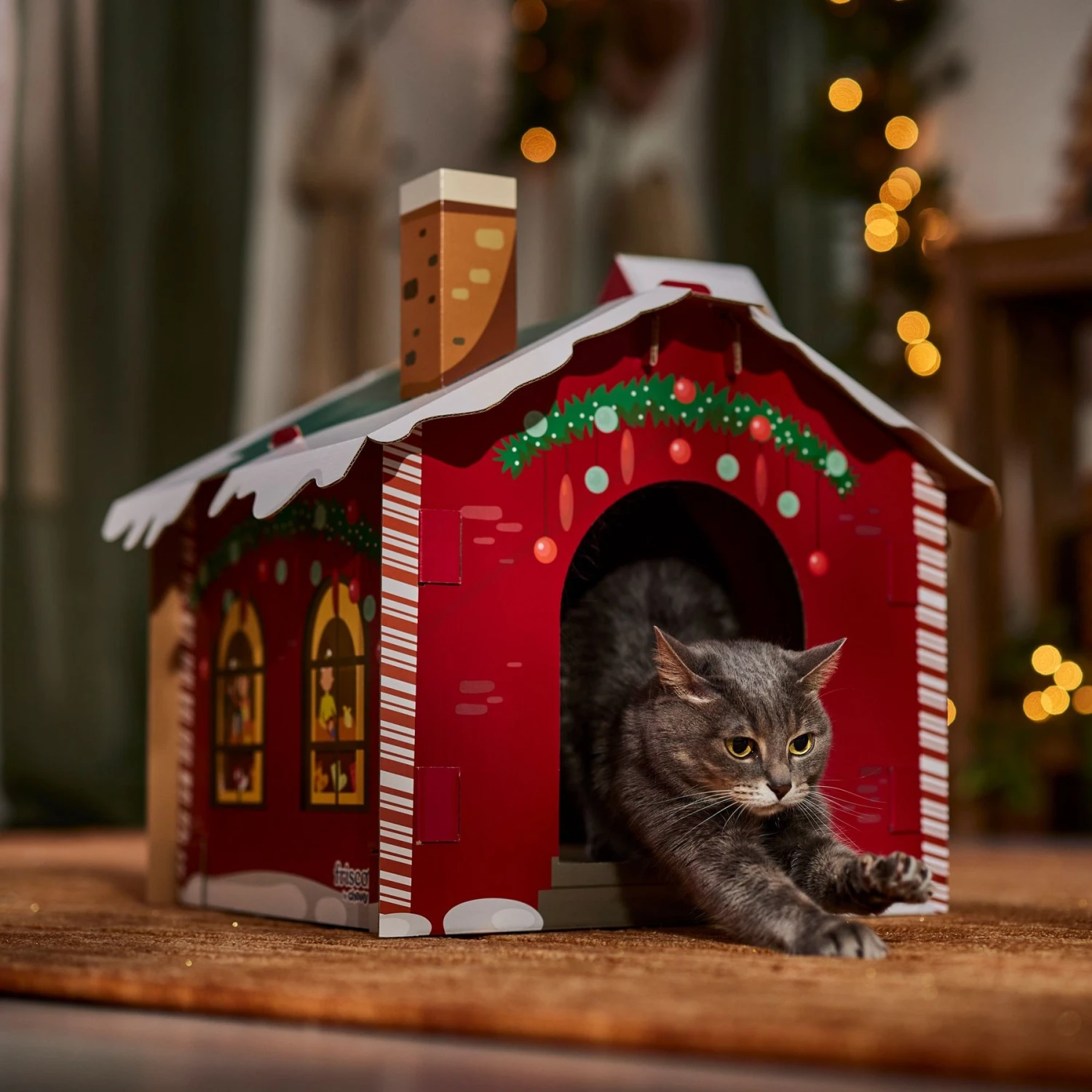 Frisco Holiday Gift Box Cardboard Cat House & Frisco Holiday Santa's Workshop Cardboard Cat House 9 Frisco Holiday Gift Box Cardboard Cat House & Frisco Holiday Santa's Workshop Cardboard Cat House - Image 9